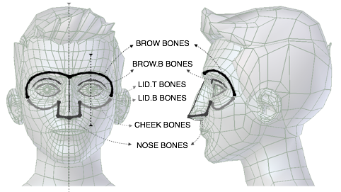 ../../_images/addons_rigging_rigify_bone-positioning_face-eyes-nose-landmarks.png