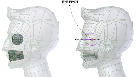 ../../_images/addons_rigging_rigify_bone-positioning_face-eyes-pivot-position.png