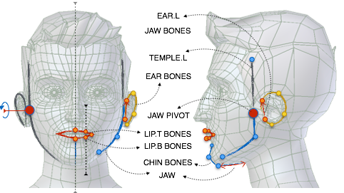 ../../_images/addons_rigging_rigify_bone-positioning_face-jaw-ear-bones.png