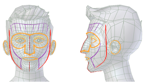 ../../_images/addons_rigging_rigify_bone-positioning_face-landmarks.png