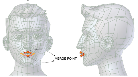 ../../_images/addons_rigging_rigify_bone-positioning_face-lips-merge-point.png