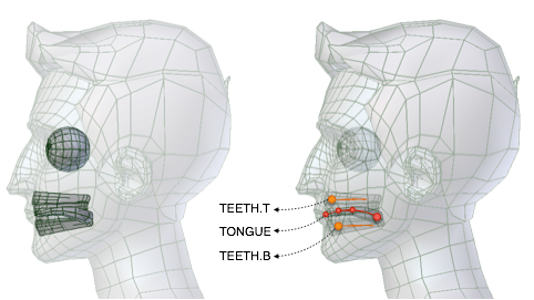 ../../_images/addons_rigging_rigify_bone-positioning_face-mouth-teeth-positions.png