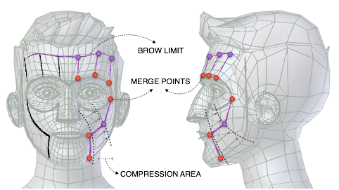../../_images/addons_rigging_rigify_bone-positioning_face-stretcher-bones.png