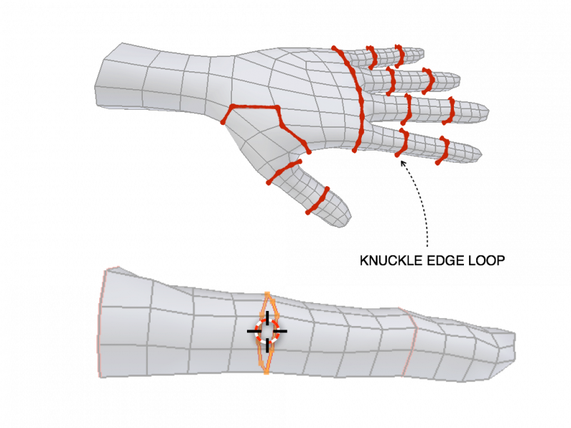 ../../_images/addons_rigging_rigify_bone-positioning_fingers-edge-loops.png