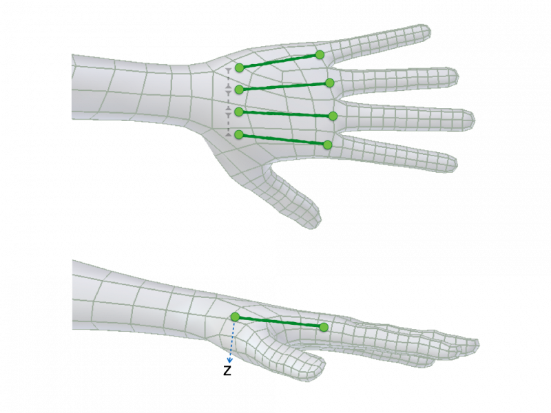 ../../_images/addons_rigging_rigify_bone-positioning_fingers-palm-alignment.png