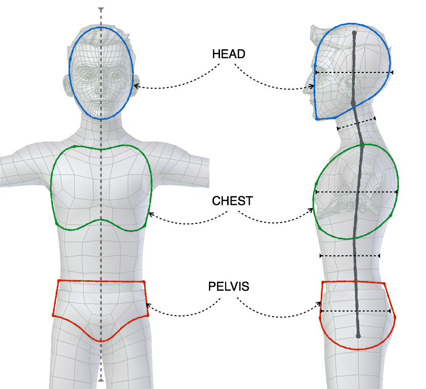 ../../_images/addons_rigging_rigify_bone-positioning_torso-landmarks.png
