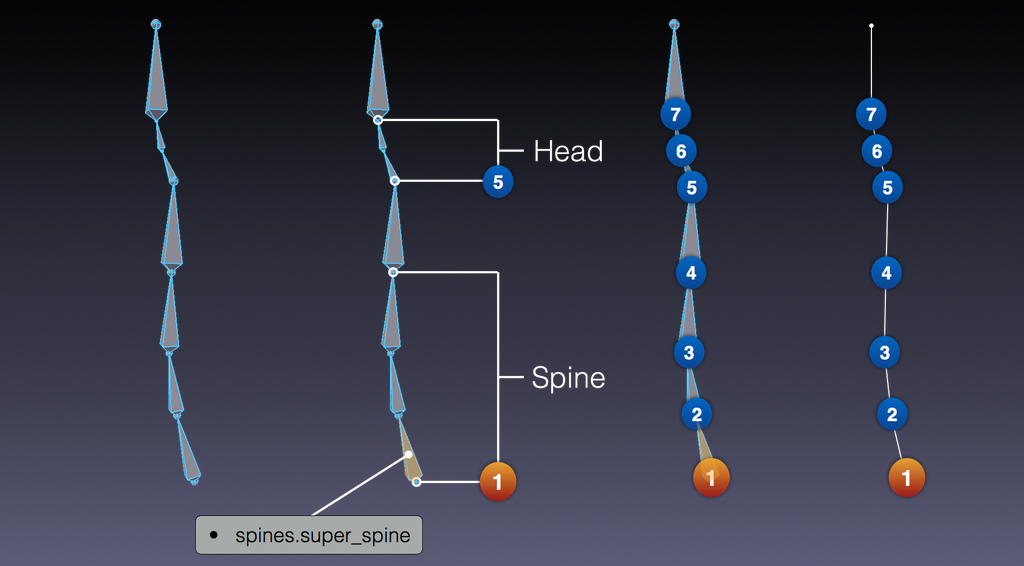 ../../../_images/addons_rigging_rigify_rig-types_spines-default.png