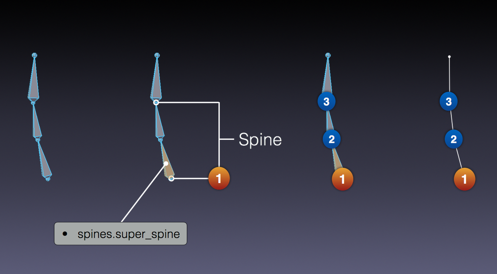 ../../../_images/addons_rigging_rigify_rig-types_spines-required.png