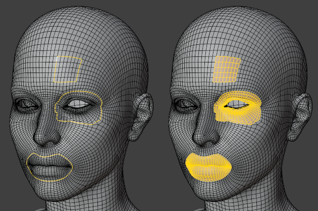 ../../../_images/modeling_meshes_selecting_loops_inner-region2.png